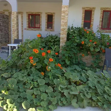 Efi Studio Aparthotel Kefalos (Kos)